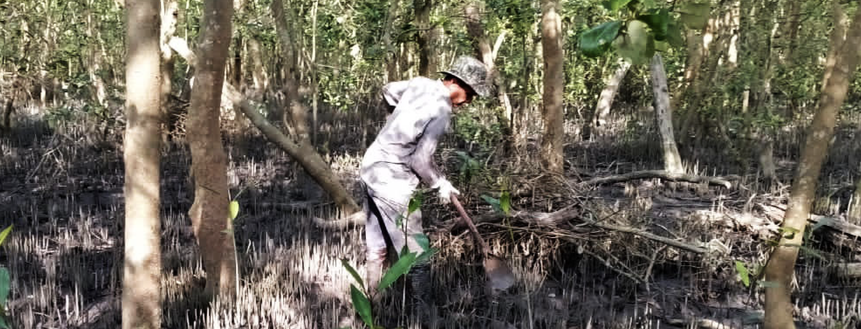 Environmental_Practices_1_a1133977-3865-4a5b-92d5-f8508ed6df69.png