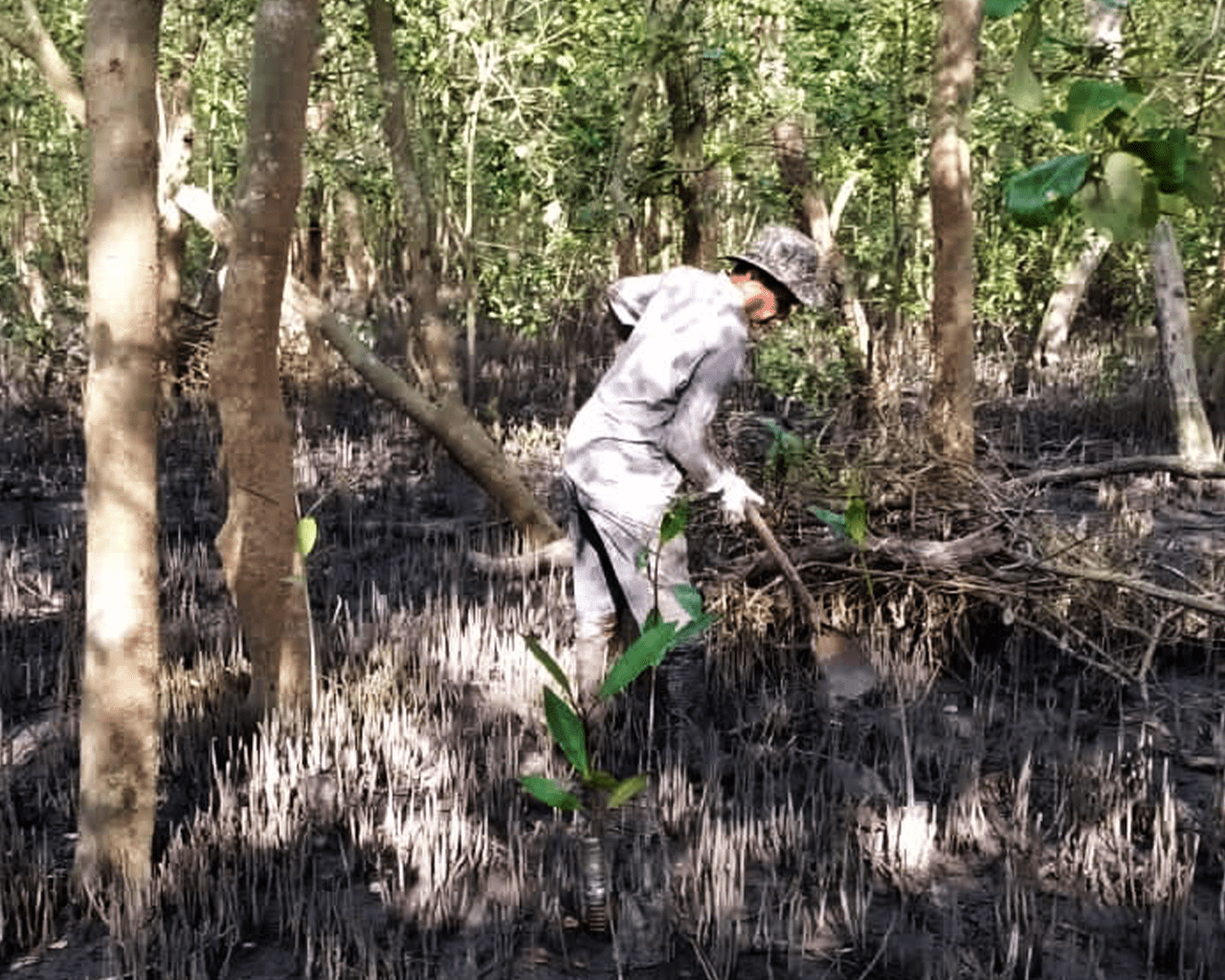 Sustainable Procurement: Positive Business Impact with Batik Boutique