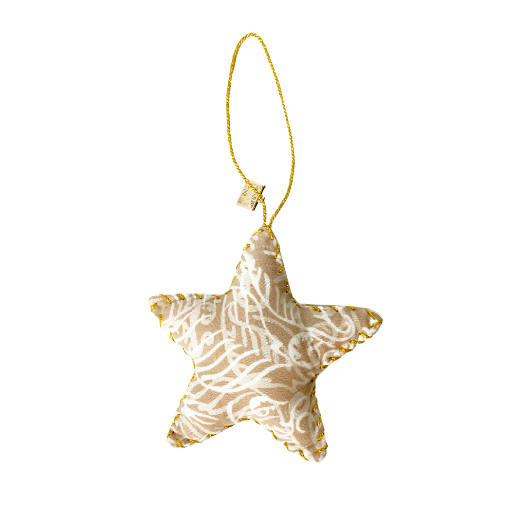 a whitebox photo of a reversible star ornament in the pattern tan nautical fern