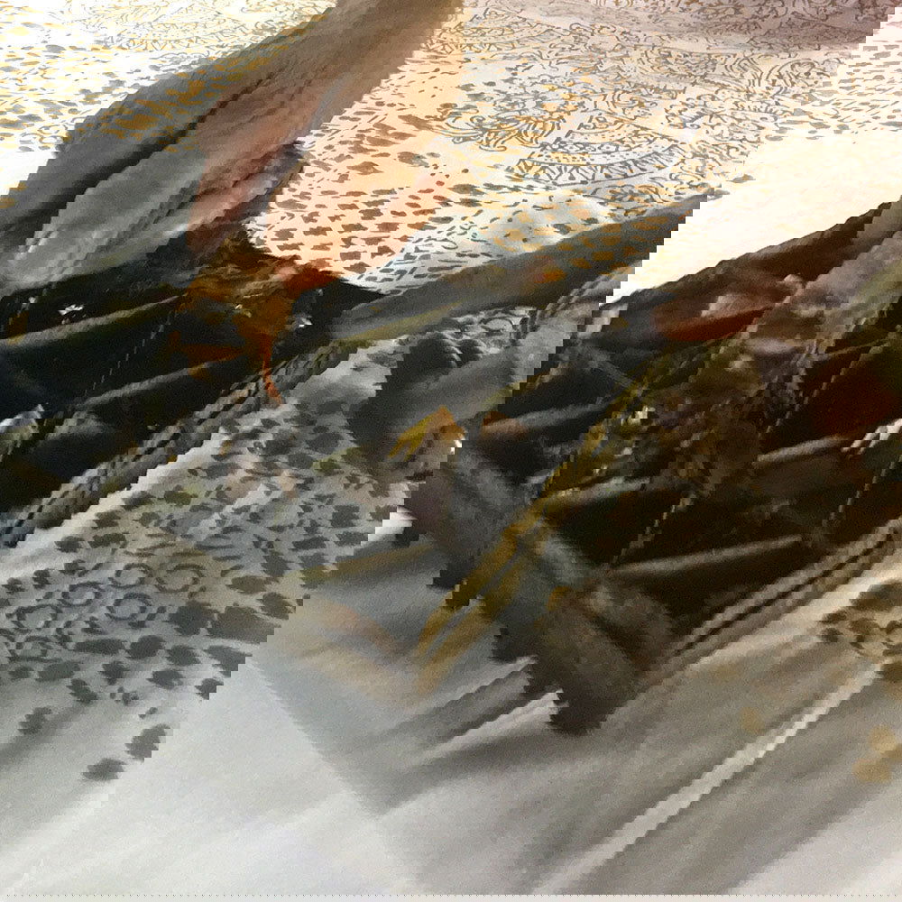 Star Ornament (Reversible) - Crimson Tiger - Batik Boutique