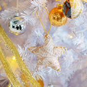 Star Ornament (Reversible) - Tan Nautical Fern - Batik Boutique